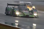 Jonny Cocker und Paul Drayson (Drayson Lola-Judd)