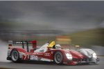 Allan McNish (Audi)