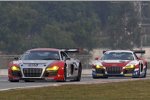 Matthew Marsh, Alex Yoong und Marchy Lee (Audi R8 LMS)