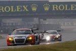 Matthew Marsh, Alex Yoong und Marchy Lee (Audi R8 LMS)