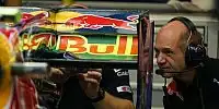 Bild zum Inhalt: Newey: Titel mit Red Bull ist etwas Besonderes