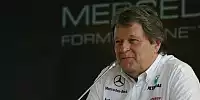 Bild zum Inhalt: Haug: "Red Bull wird stark sein"