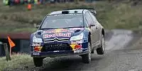 Bild zum Inhalt: Citroën-Junioren bejubeln Marken-Podium