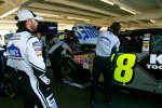 Jimmie Johnson (Hendrick) 