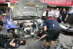 Tom Coronel (SR) 