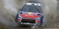 Bild zum Inhalt: Quesnel: Ogier wird 2011 nicht so ungestüm sein