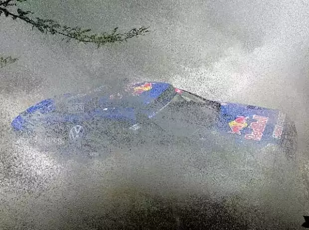 Carlos Sainz Titel-Bild zur News: Carlos Sainz