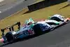 Bild zum Inhalt: Pescarolo: LMS mit Tinseau und Collard