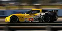 Bild zum Inhalt: ALMS: Milner und Westbrook in der Werks-Corvette