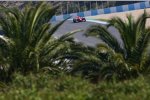 Timo Glock (Marussia-Virgin) 