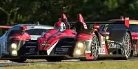 Scott Tucker, Marco Werner