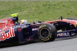 Jaime Alguersuari (Toro Rosso) 