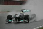 Nico Rosberg (Mercedes) 