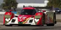 Jeroen Bleekemolen, Neel Jani, Nicolas Prost