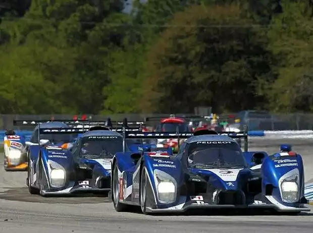 Marc Gene, Alexander Wurz, Anthony Davidson Titel-Bild zur News: Marc Gene, Alexander Wurz, Anthony Davidson