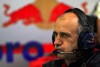 Bild zum Inhalt: Toro Rosso: Ricciardo scharrt mit den Hufen