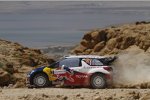 Sebastien Ogier (Citroen) 