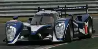 Anthony Davidson, Alexander Wurz