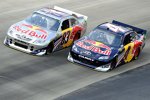 Die Red-Bull-Piloten Brian Vickers und Kasey Kahne