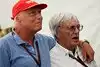 Bild zum Inhalt: Lauda: Ecclestones Macht ist "unbestritten"