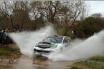 Hayden Paddon 
