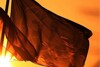Kalender umfasst 2012 erstmals 21 Rennen