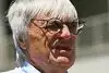 Bild zum Inhalt: Ecclestone wollte Bahrain noch retten