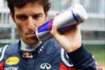 Mark Webber (Red Bull) 