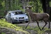 Bild zum Inhalt: Volvo entwickelt System gegen Wildunfälle