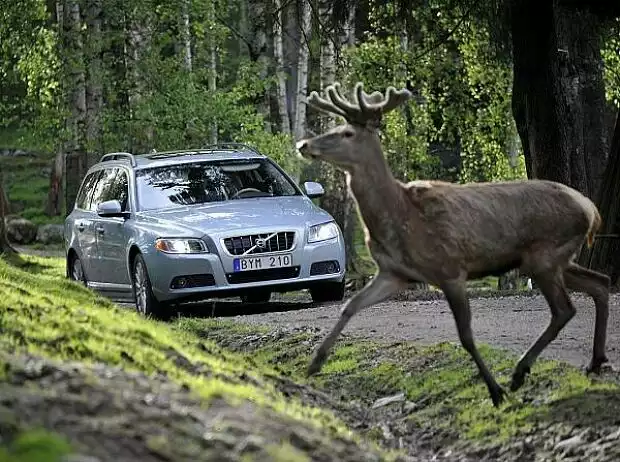 Volvo Titel-Bild zur News: Volvo