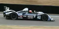 Jonny Kane, Danny Watts, Nick Leventis
