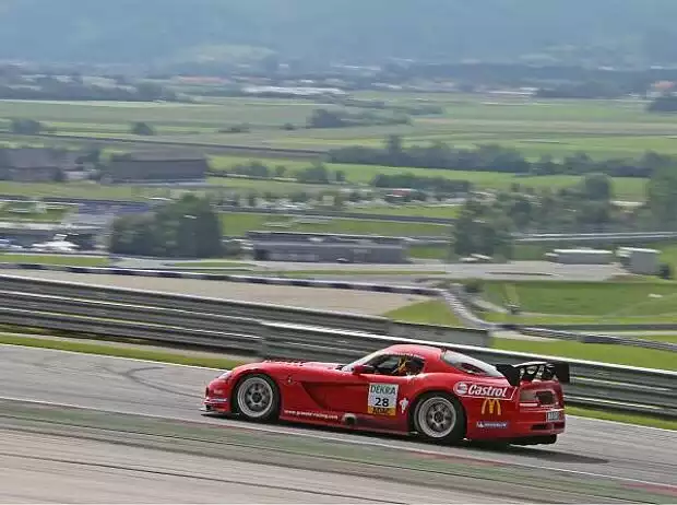 Grasser-Viper Titel-Bild zur News: Grasser-Viper