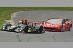 Elton Julian/Eric Lux und Jaime Melo/Toni Vilander