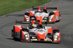 Kyle Marcelli/Tommy Drissi