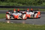Kyle Marcelli/Tommy Drissi