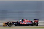 Jaime Alguersuari (Toro Rosso) 