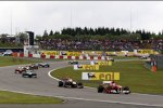 Fernando Alonso (Ferrari) 
