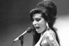Bild zum Inhalt: Hamilton bedauert Tod von Amy Winehouse