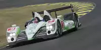 Casper Elgaard, Jan Lammers, Steve Zacchia