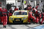 Mike Rockenfeller (Abt-Audi) 