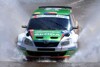 Bild zum Inhalt: Machen WRC und IRC künftig gemeinsame Sache?