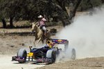 David Coulthard (Red Bull)