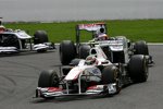 Sergio Perez (Sauber) 