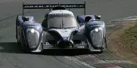 Anthony Davidson, Alexander Wurz