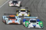 Die vier Topfahrzeuge der LMP1-Klasse