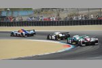 Die vier Topfahrzeuge der LMP1-Klasse