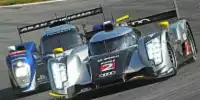 Allan McNish, Tom Kristensen, Rinaldo Capello