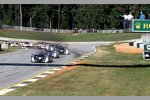 Start zum Petit Le Mans in Road Atlanta