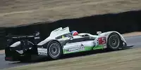 Casper Elgaard, Jan Lammers, Steve Zacchia