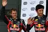 Bild zum Inhalt: Horner schließt Stallorder nicht aus